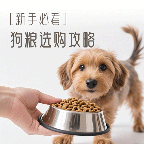 【狗粮】如何选择？狗粮选购的保姆级攻略