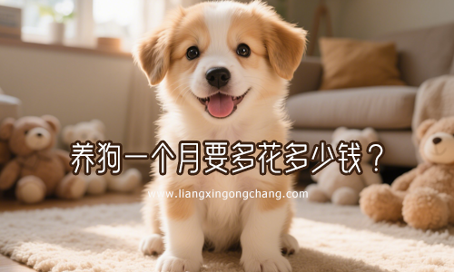 养一只狗需要哪些必备品？养一只狗一个月要花多少钱？