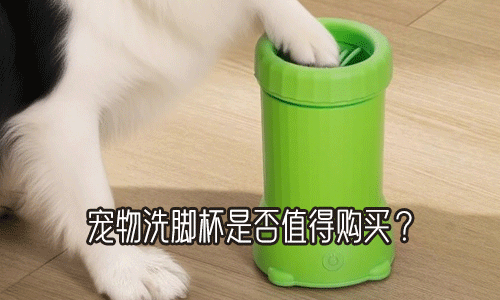 看似没用实际也没啥用的宠物洗脚杯，是否值得购买呢？